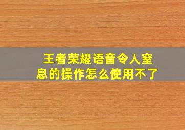 王者荣耀语音令人窒息的操作怎么使用不了