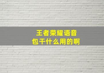 王者荣耀语音包干什么用的啊