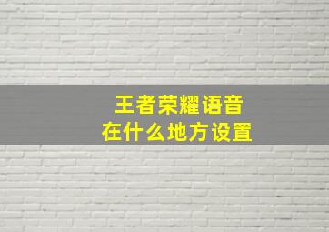 王者荣耀语音在什么地方设置