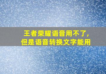 王者荣耀语音用不了,但是语音转换文字能用