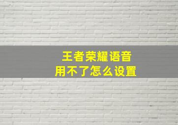 王者荣耀语音用不了怎么设置