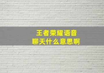 王者荣耀语音聊天什么意思啊