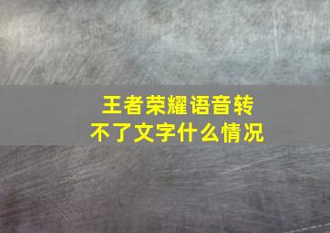 王者荣耀语音转不了文字什么情况