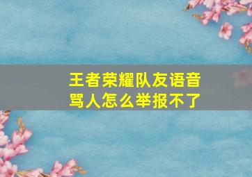 王者荣耀队友语音骂人怎么举报不了