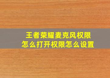 王者荣耀麦克风权限怎么打开权限怎么设置