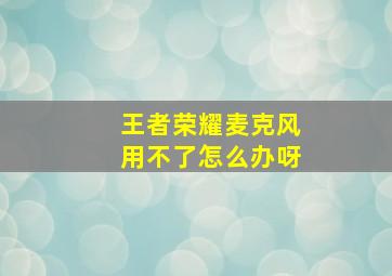 王者荣耀麦克风用不了怎么办呀