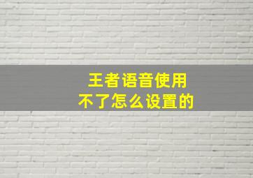 王者语音使用不了怎么设置的