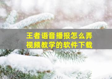 王者语音播报怎么弄视频教学的软件下载