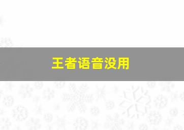 王者语音没用