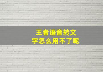 王者语音转文字怎么用不了呢