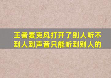 王者麦克风打开了别人听不到人到声音只能听到别人的