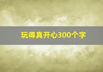 玩得真开心300个字