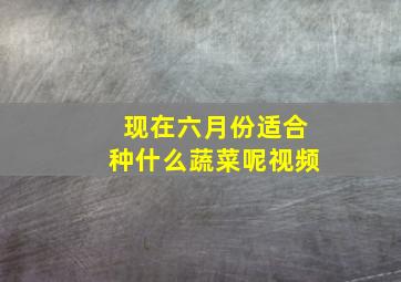 现在六月份适合种什么蔬菜呢视频