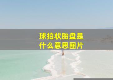 球拍状胎盘是什么意思图片