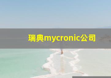 瑞典mycronic公司