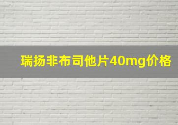 瑞扬非布司他片40mg价格