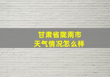 甘肃省陇南市天气情况怎么样