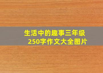 生活中的趣事三年级250字作文大全图片