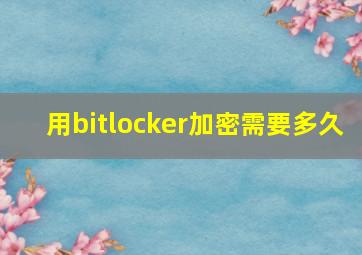 用bitlocker加密需要多久