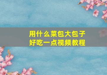 用什么菜包大包子好吃一点视频教程