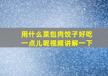 用什么菜包肉饺子好吃一点儿呢视频讲解一下