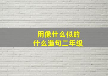 用像什么似的什么造句二年级