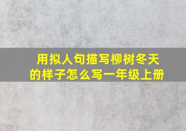 用拟人句描写柳树冬天的样子怎么写一年级上册