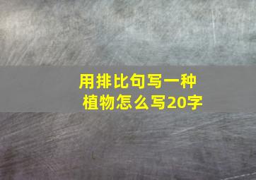 用排比句写一种植物怎么写20字