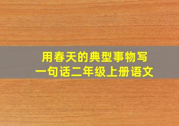 用春天的典型事物写一句话二年级上册语文