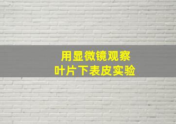 用显微镜观察叶片下表皮实验