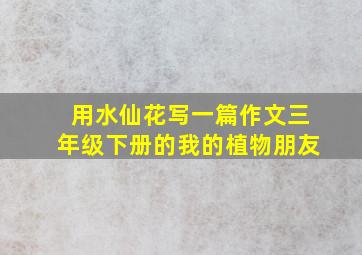 用水仙花写一篇作文三年级下册的我的植物朋友