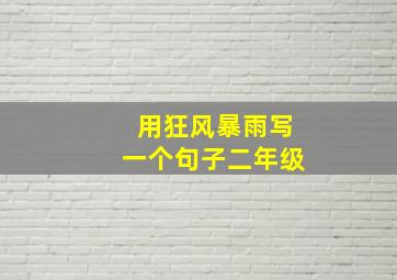 用狂风暴雨写一个句子二年级