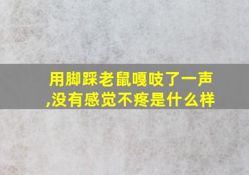 用脚踩老鼠嘎吱了一声,没有感觉不疼是什么样