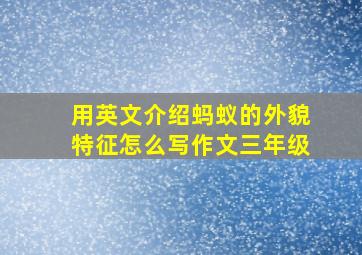 用英文介绍蚂蚁的外貌特征怎么写作文三年级