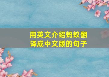 用英文介绍蚂蚁翻译成中文版的句子