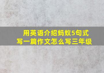 用英语介绍蚂蚁5句式写一篇作文怎么写三年级