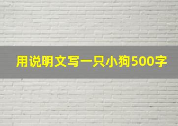 用说明文写一只小狗500字