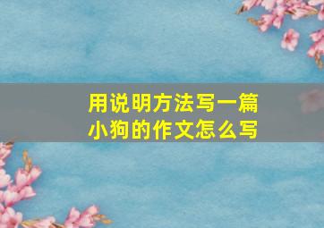 用说明方法写一篇小狗的作文怎么写