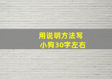 用说明方法写小狗30字左右