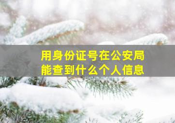 用身份证号在公安局能查到什么个人信息