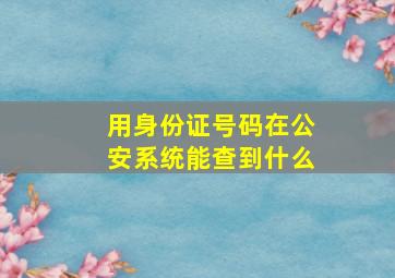 用身份证号码在公安系统能查到什么