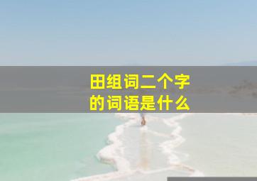 田组词二个字的词语是什么