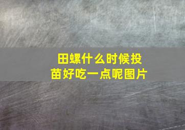 田螺什么时候投苗好吃一点呢图片