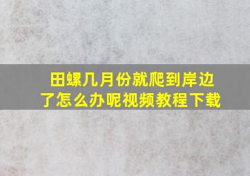 田螺几月份就爬到岸边了怎么办呢视频教程下载