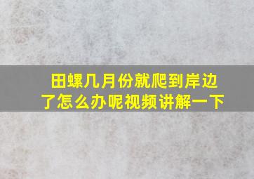 田螺几月份就爬到岸边了怎么办呢视频讲解一下