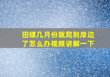 田螺几月份就爬到岸边了怎么办视频讲解一下