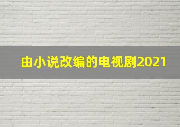 由小说改编的电视剧2021