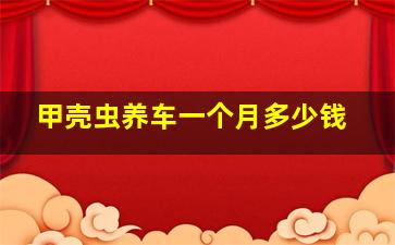 甲壳虫养车一个月多少钱