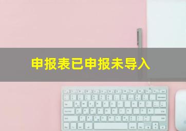 申报表已申报未导入