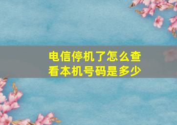 电信停机了怎么查看本机号码是多少